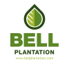 Bell Plantation (PB2)